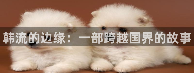 大地资源视频高清在线观看免费：韩流的边缘：一部跨越国界的故事