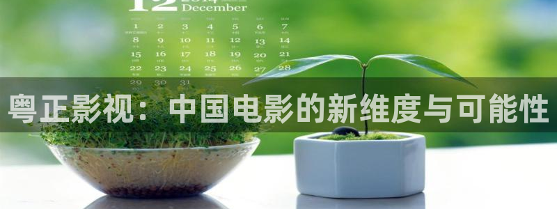 大地影视mv高清视频：粤正影视：中国电影的新维度与可能性