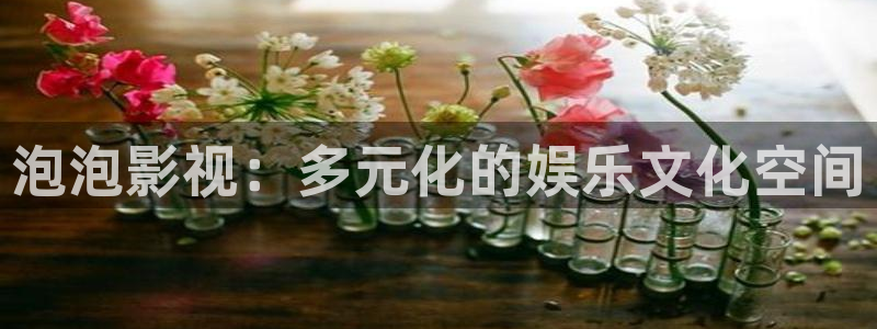 大地电影网：泡泡影视：多元化的娱乐文化空间