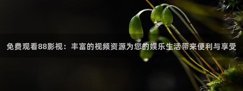 大地资源免费观看在线播放电影