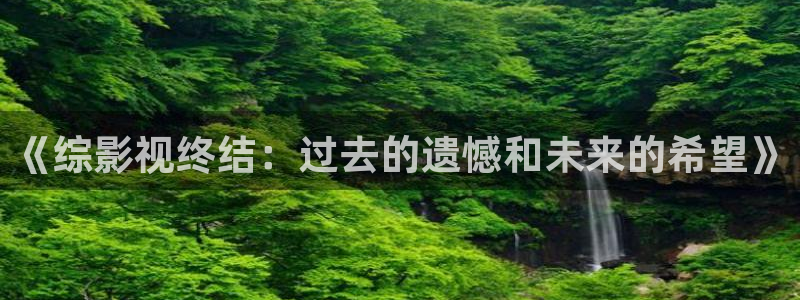 大地国际影城：《综影视终结：过去的遗憾和未来的希望》