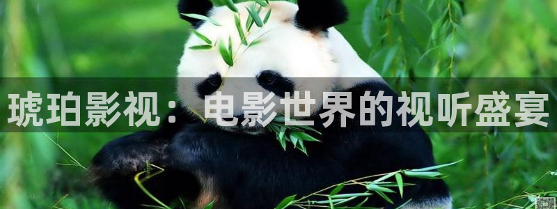 大地完整版电影