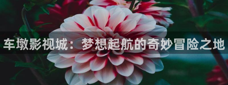 大地影院mv免费观看：车墩影视城：梦想起航的奇妙冒险之地