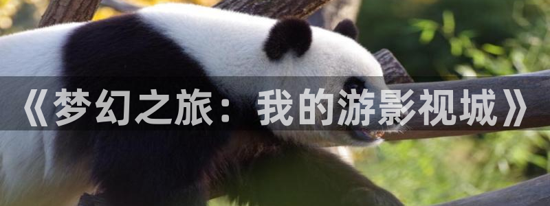 大地资源高清在线观看国语版狂飙：《梦幻之旅：我的游影视城》