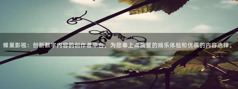 大地电影中文版：蜂巢影视：创新数字内容的创作者平台，为您奉上高质量的娱乐体验和优质的内容选择。