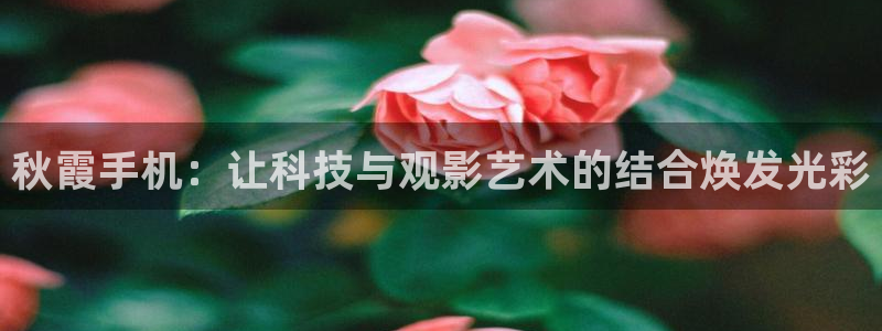 大地资源高清在线视频播放免费版：秋霞手机：让科技与观影艺术的结合焕发光彩