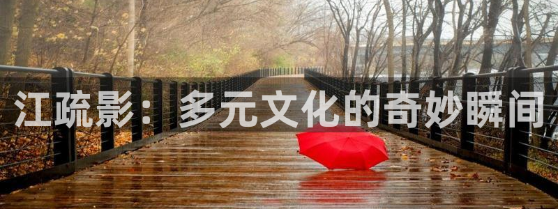 大地中文在线观看免费版高清电视剧：江疏影：多元文化的奇妙瞬间