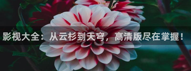 贵州大地资源在线观看视频：影视大全：从云杉到天穹，高清版尽在掌握！