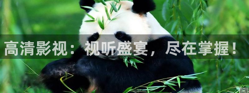 大地资源版高清6